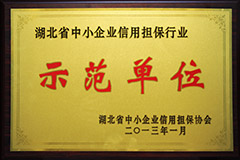 2013省担保示范单位