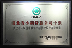2013省小贷公司十强
