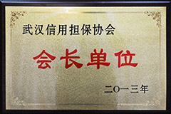 2013市担保协会会长单位